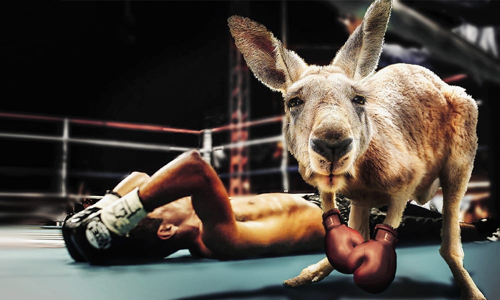 0-boxing-3849936_1920